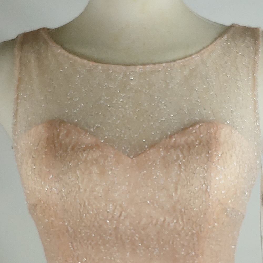 Fabuluxe limited edition pink prom formal fit&flare mini train gown sz XS NEW - Picture 3 of 10